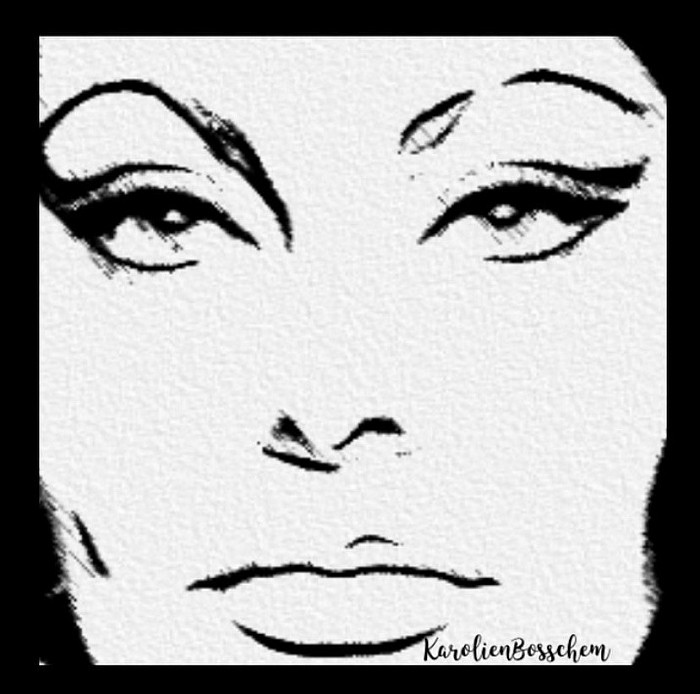 Sophia Loren - artwork -50*50 cm