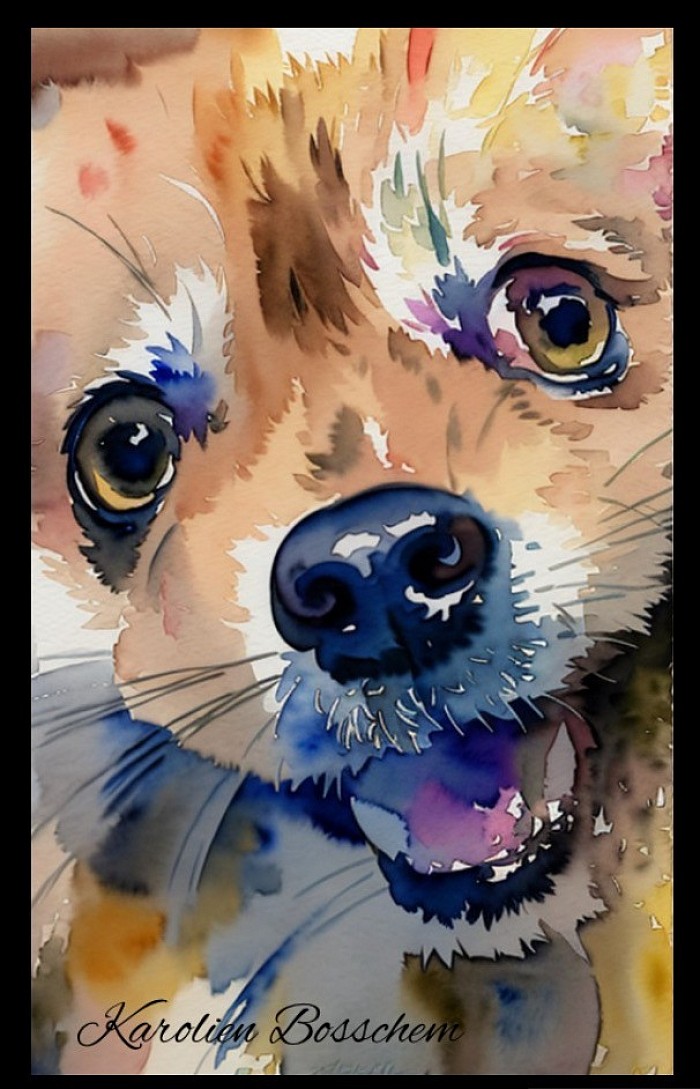 Our cute Pomeranian ‘ Bo’ -painting