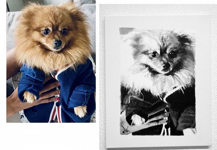 Pomeranian Bo - acrylicpainting 30*40cm @portraitartist