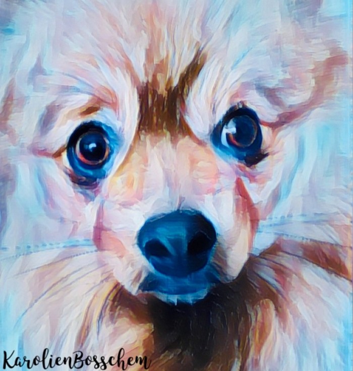 My name is Bo - acrylicpainting -30*30 cm