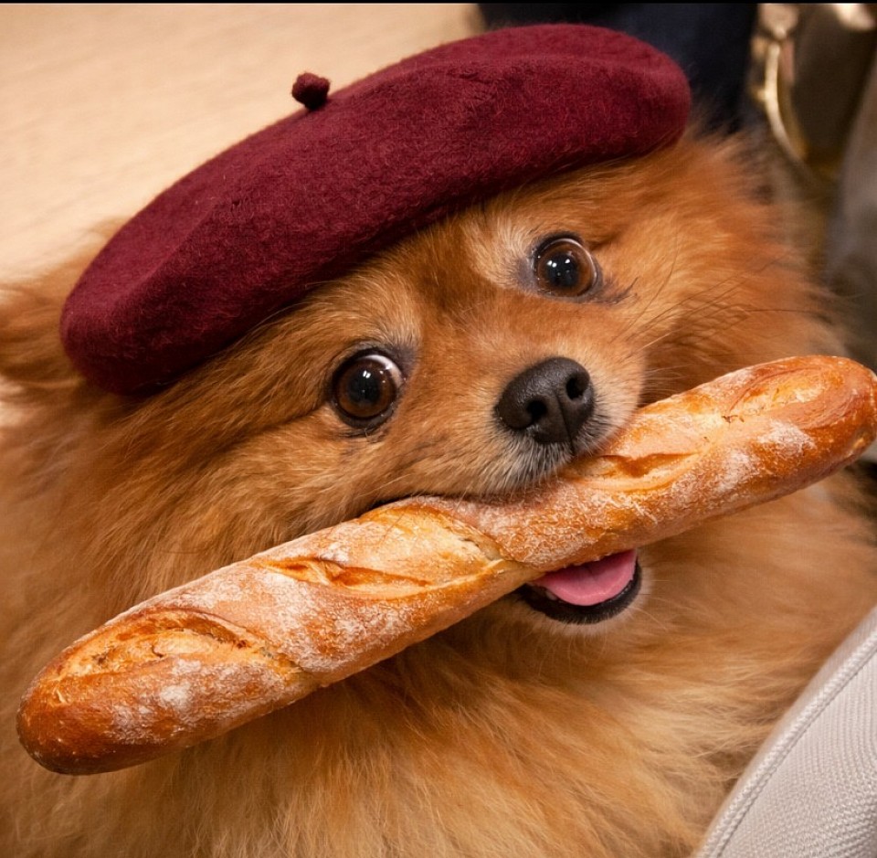 Je parle deux langues, mais je pense en baguette. Sorry, je ne comprends que les croissants.